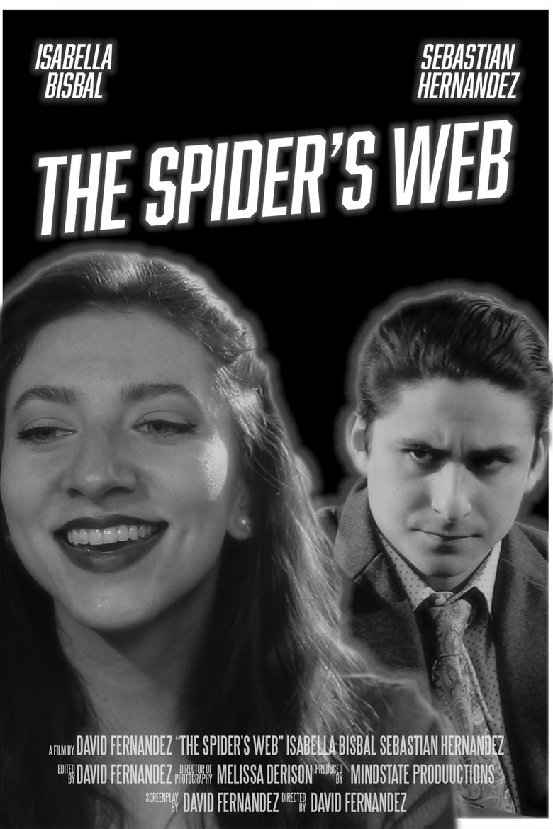 Poster of The Spider's Web