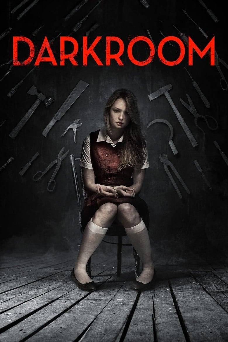 Poster of Darkroom