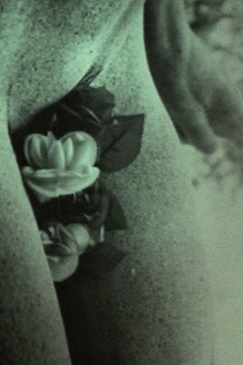 Poster of Bouche D'Oeil