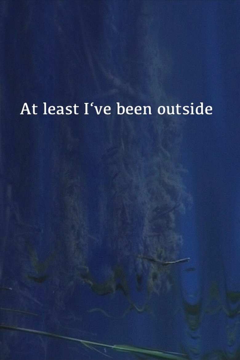 Poster of At Least I've Been Outside