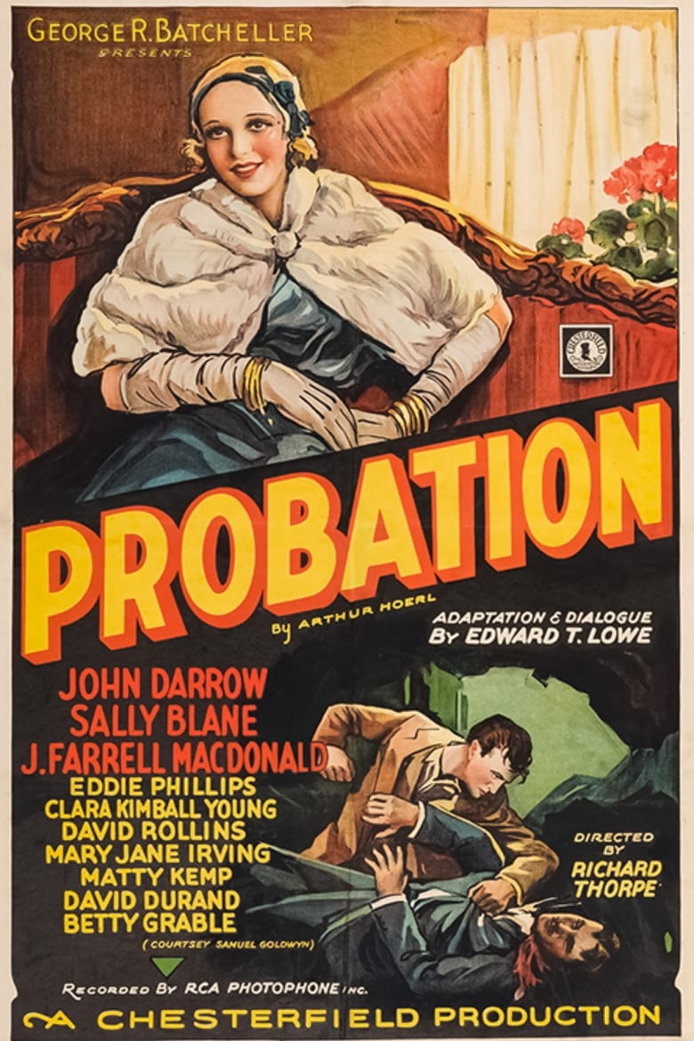 Poster of Probation