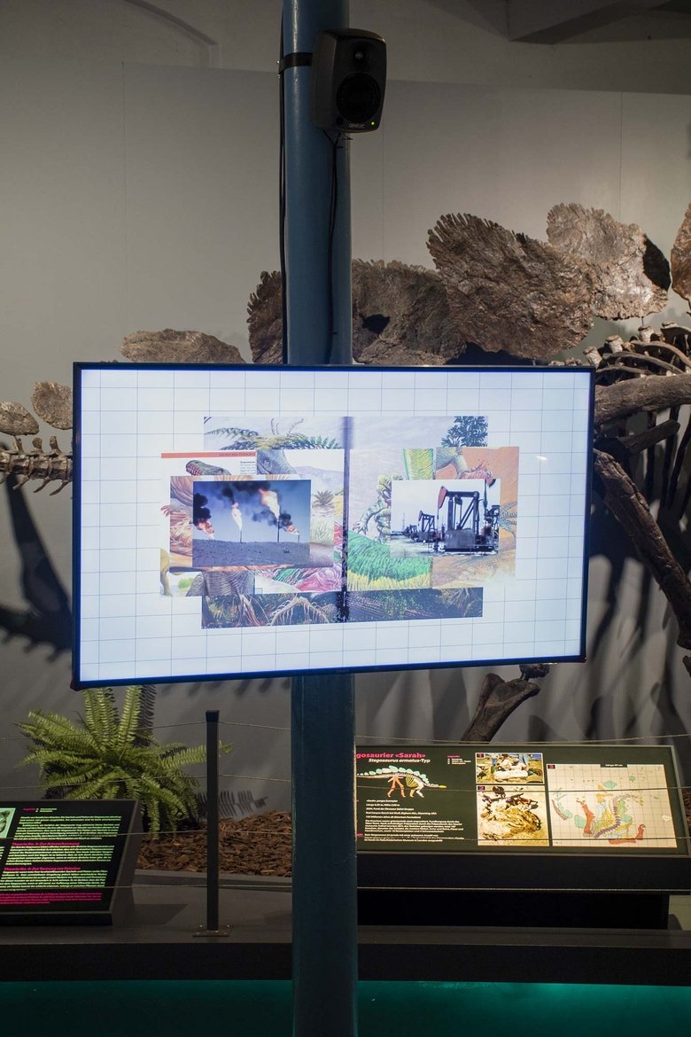 Poster of fossil:images