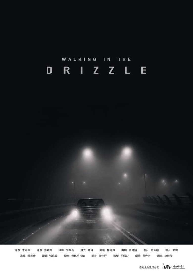 Poster of Walking in the Drizzle