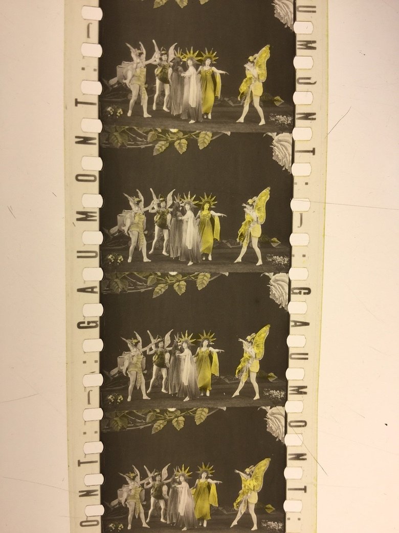 Poster of The Roses