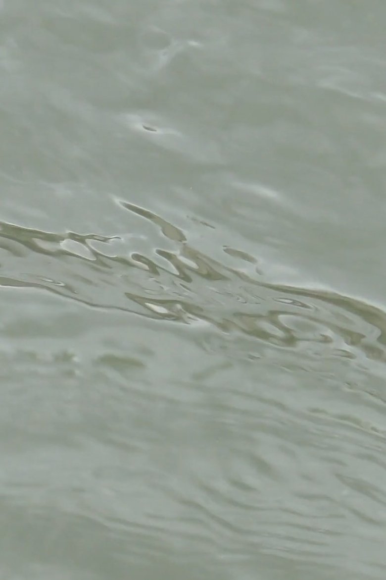 Poster of entre les vagues (un hommage)