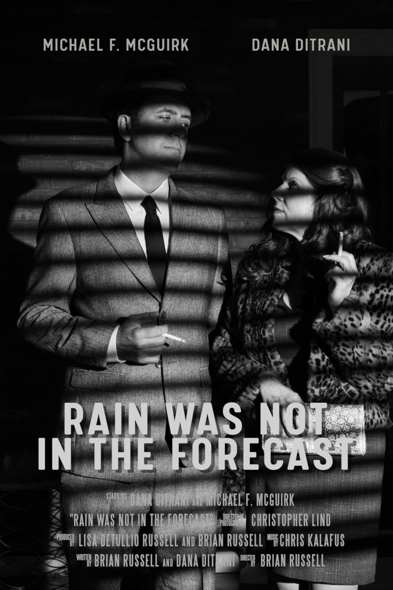 Poster of Rain was Not in the Forecast