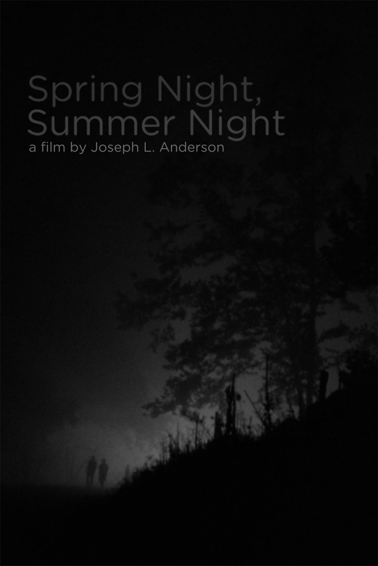 Poster of Spring Night, Summer Night