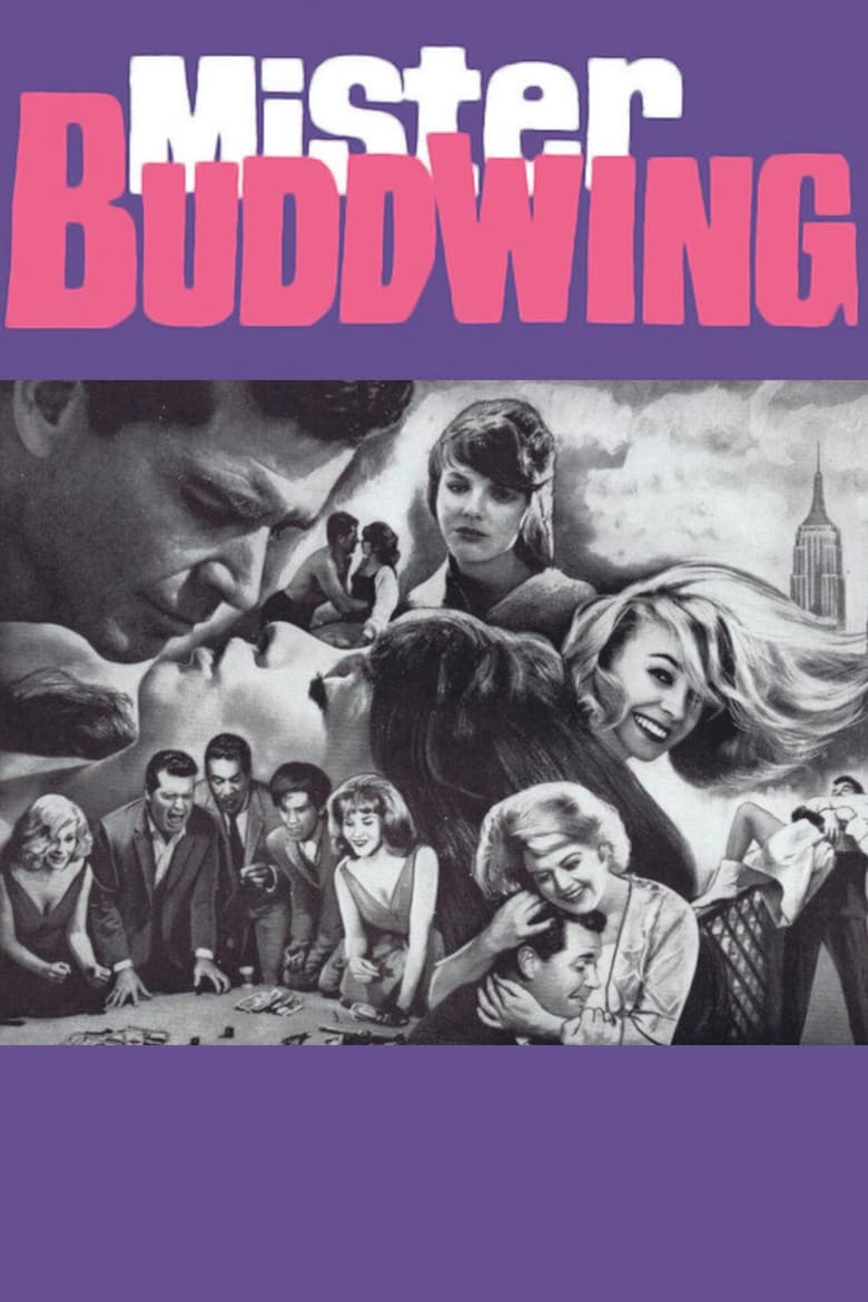 Poster of Mister Buddwing