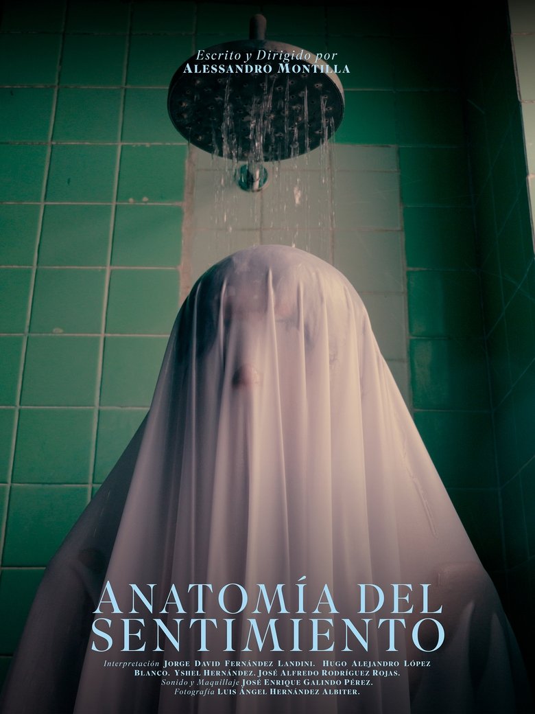 Poster of Anatomía del sentimiento