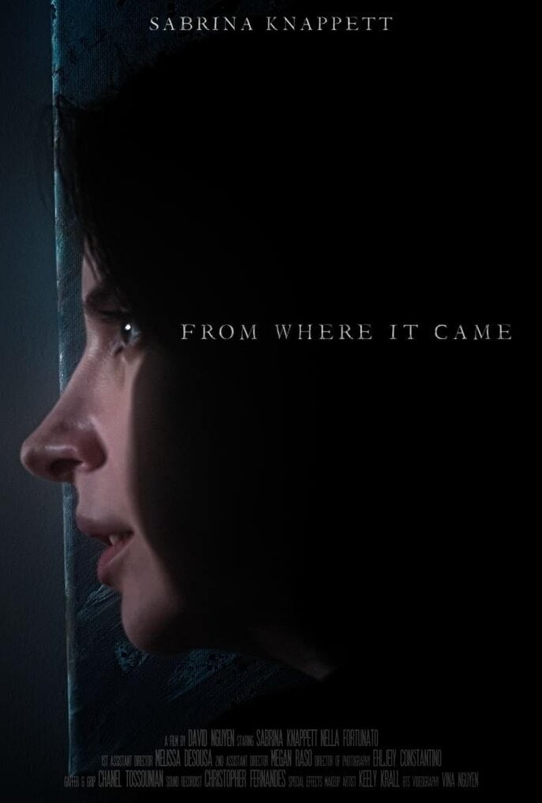 Poster of From Where It Came