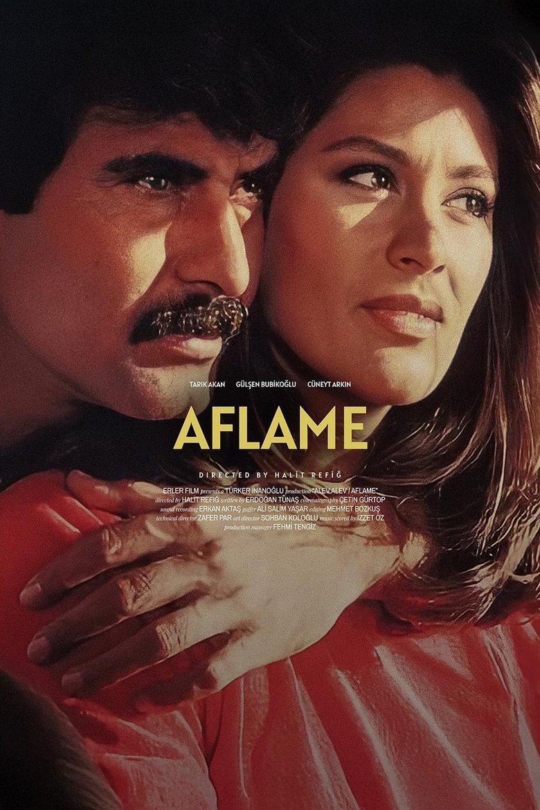 Poster of Aflame