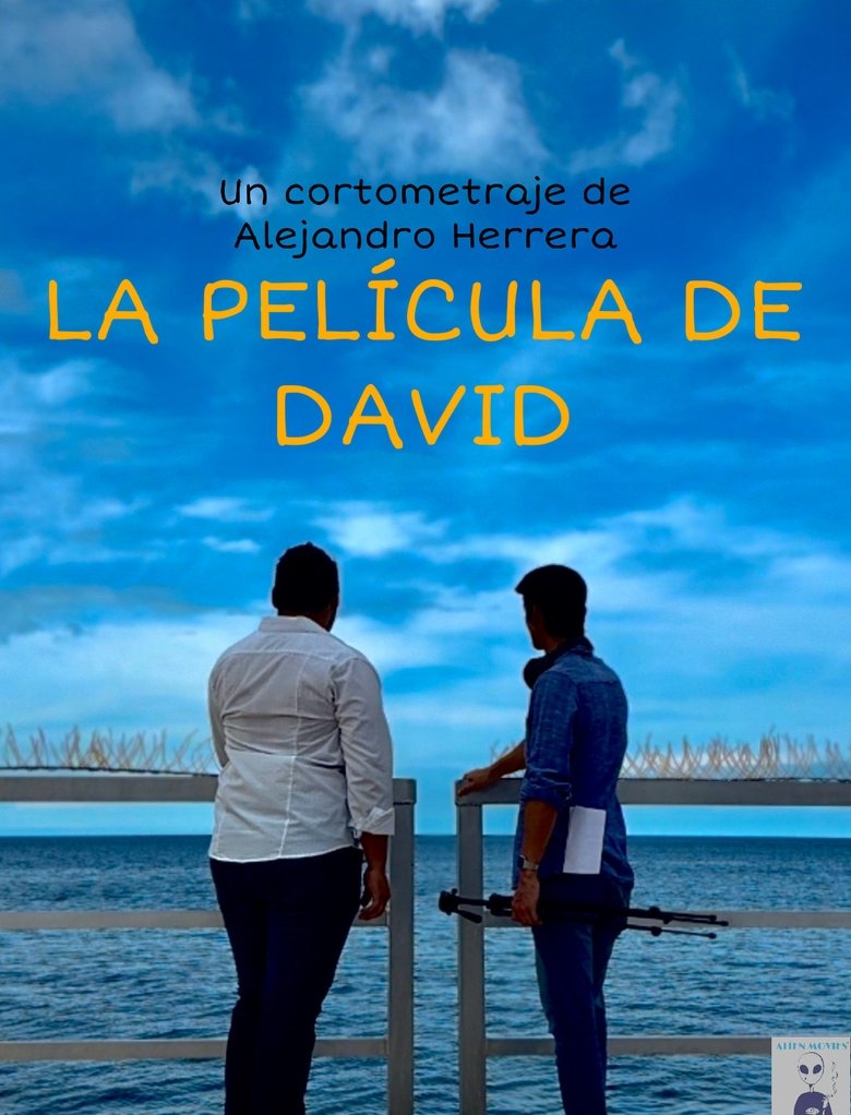 Poster of La película de David