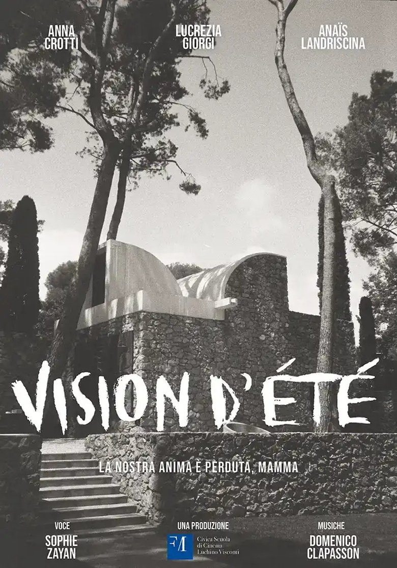 Poster of Vision d'été