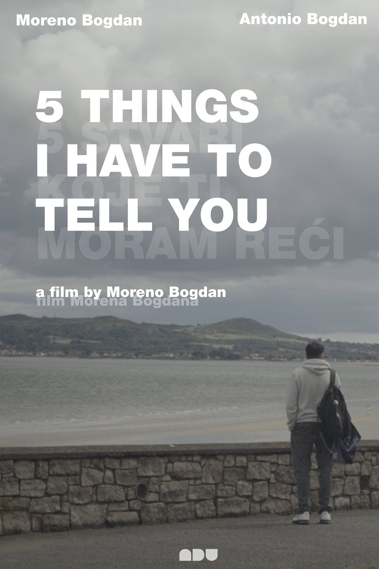 Poster of 5 things I have to tell you