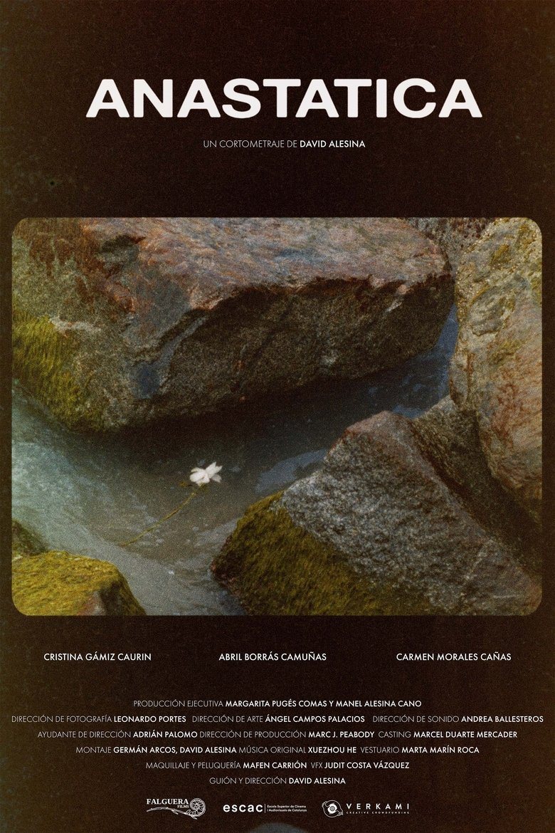 Poster of Anastatica
