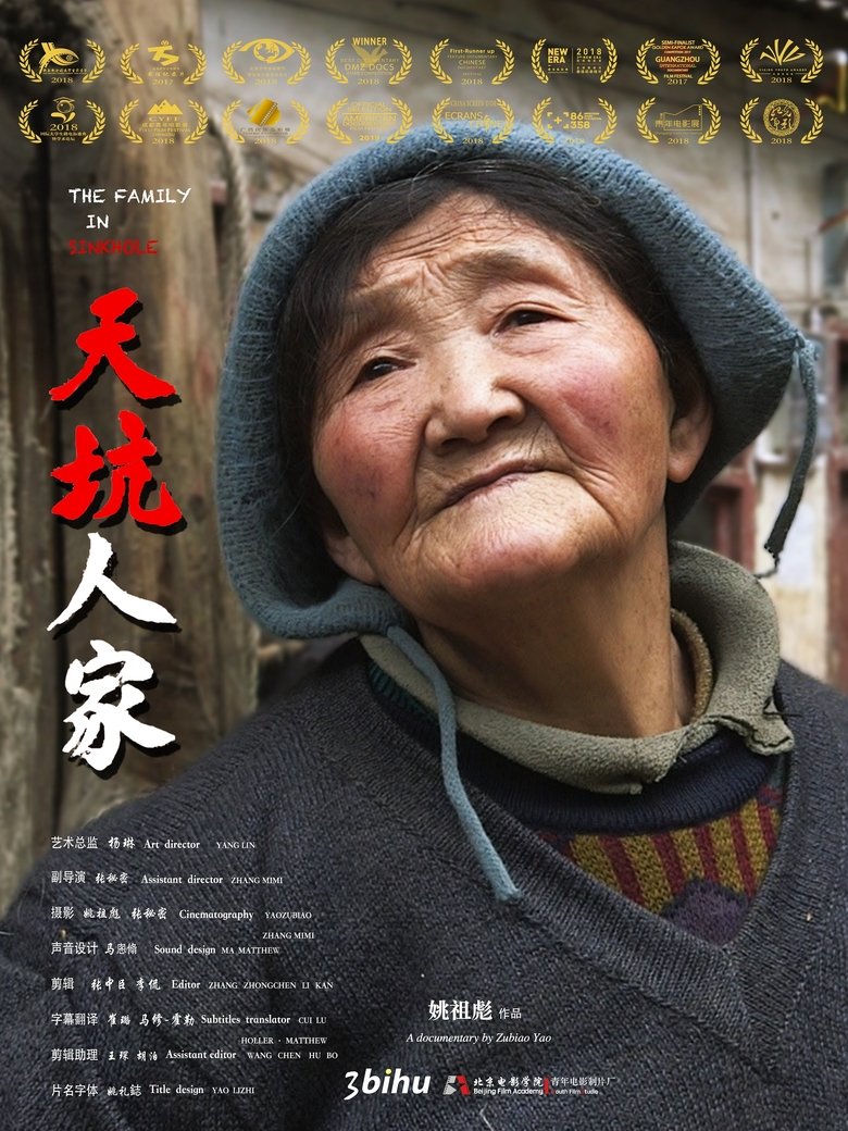 Poster of The Family in Sinkhole