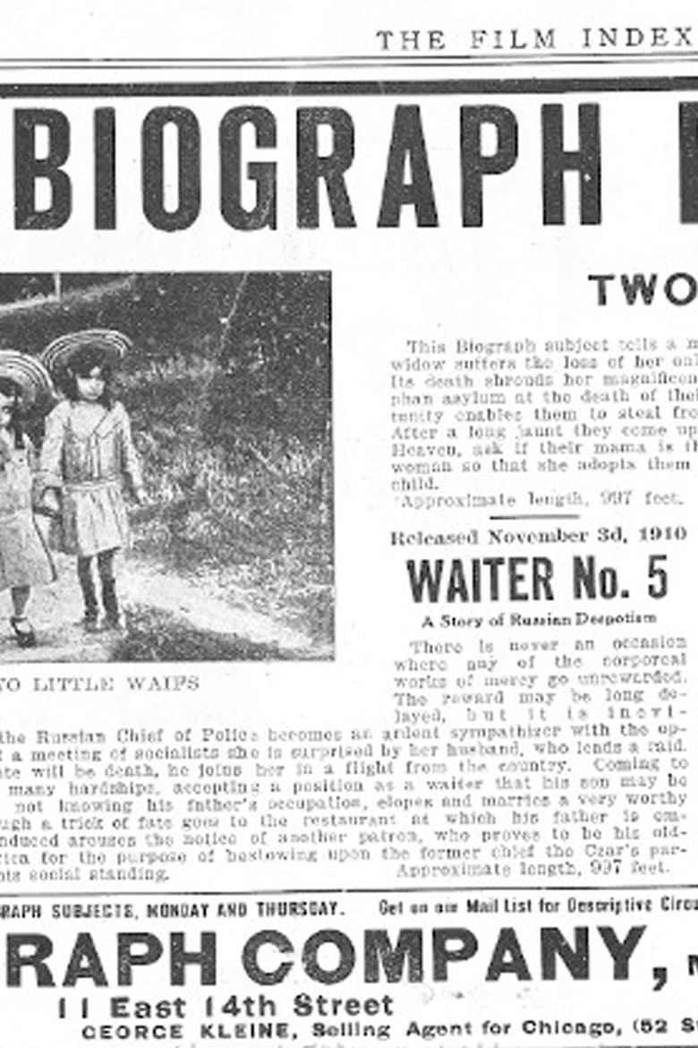 Poster of Waiter No. 5