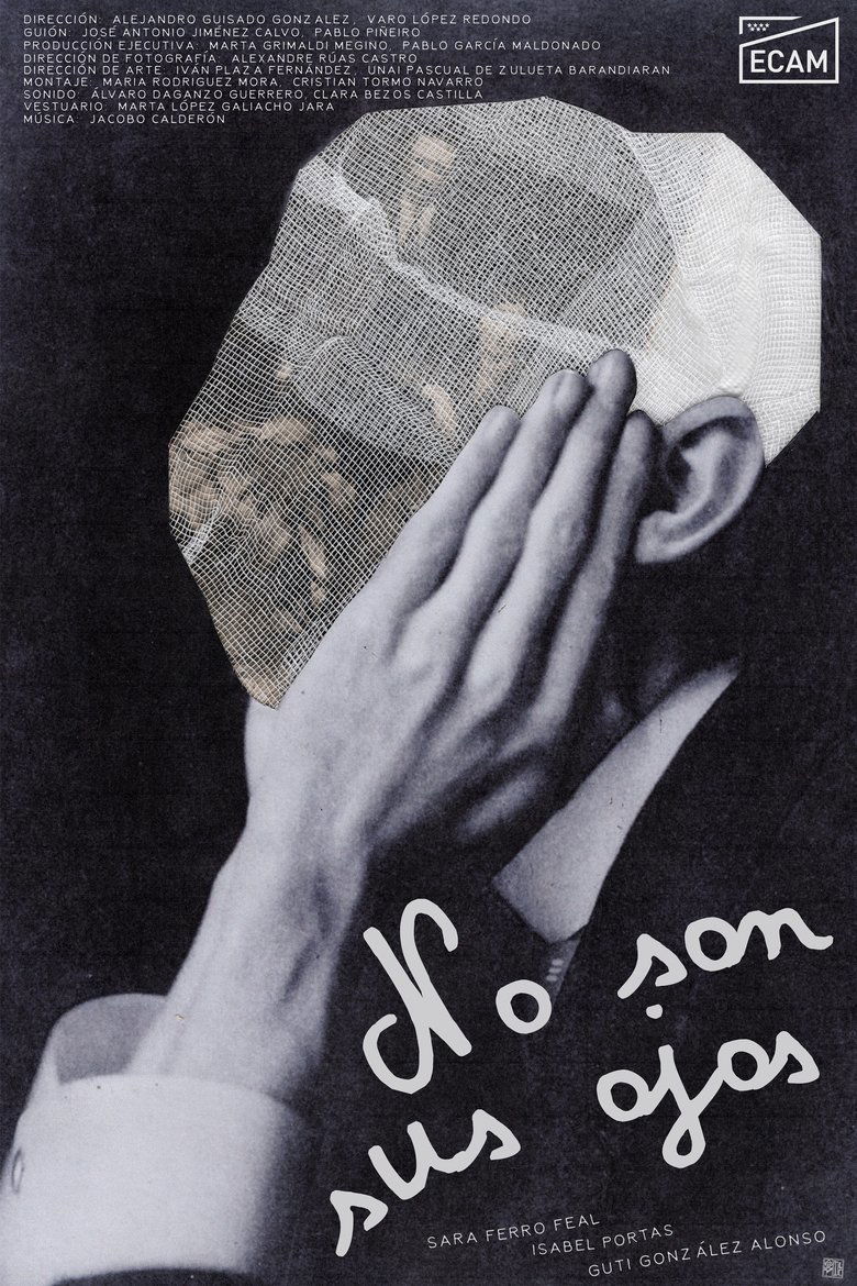 Poster of No son sus ojos