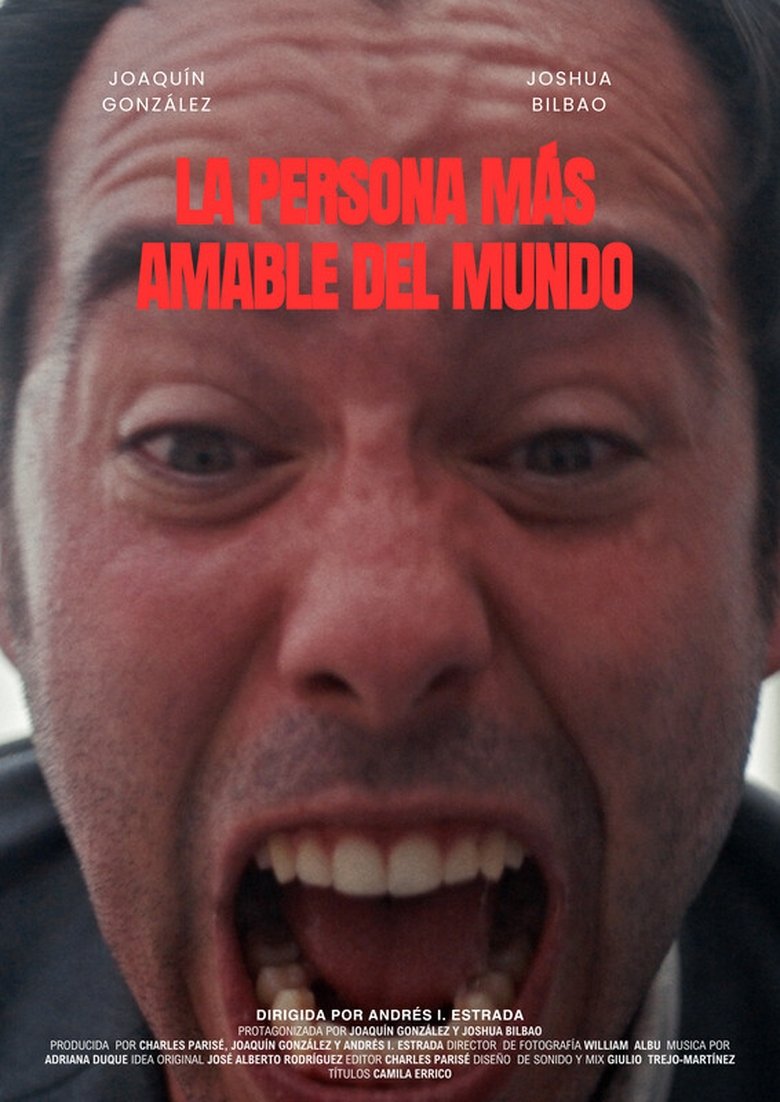 Poster of The Nicest Person in the World