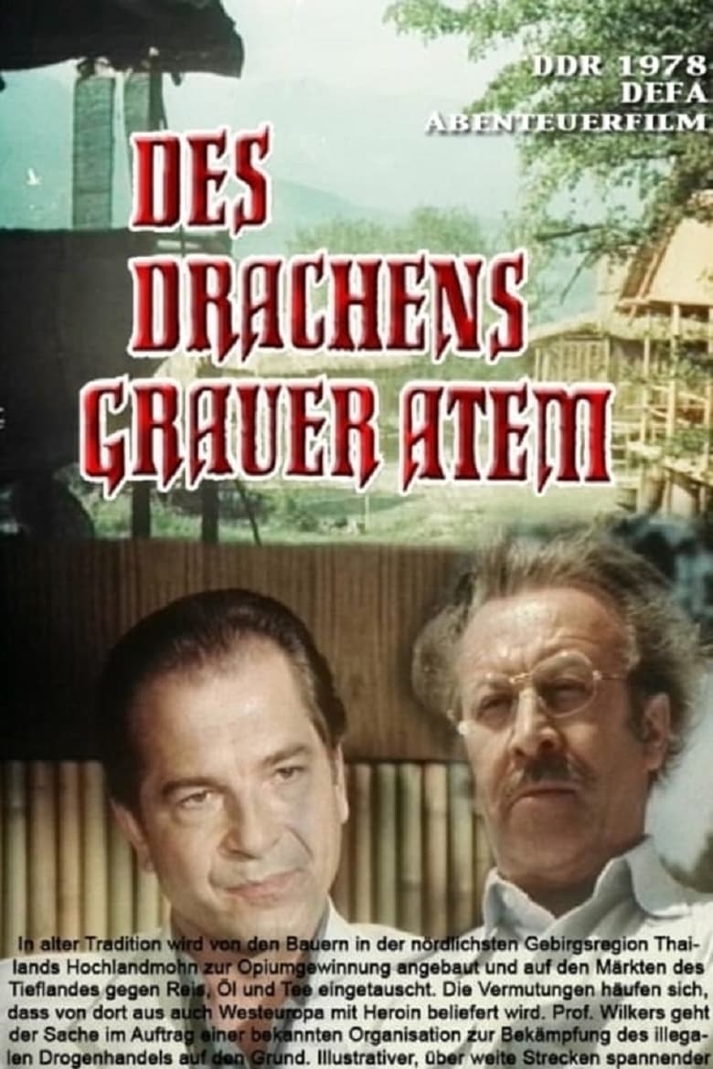 Poster of Des Drachens grauer Atem