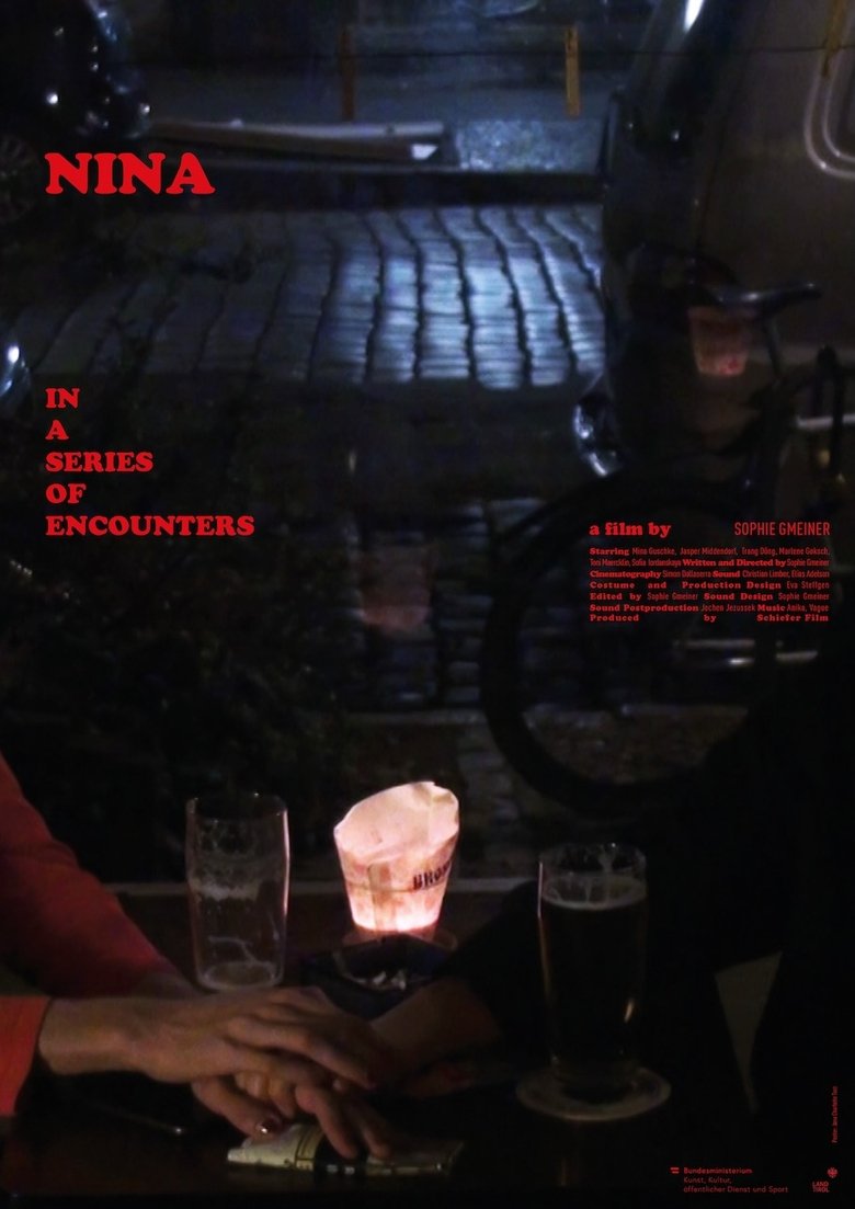 Poster of Nina in a Series of Encounters