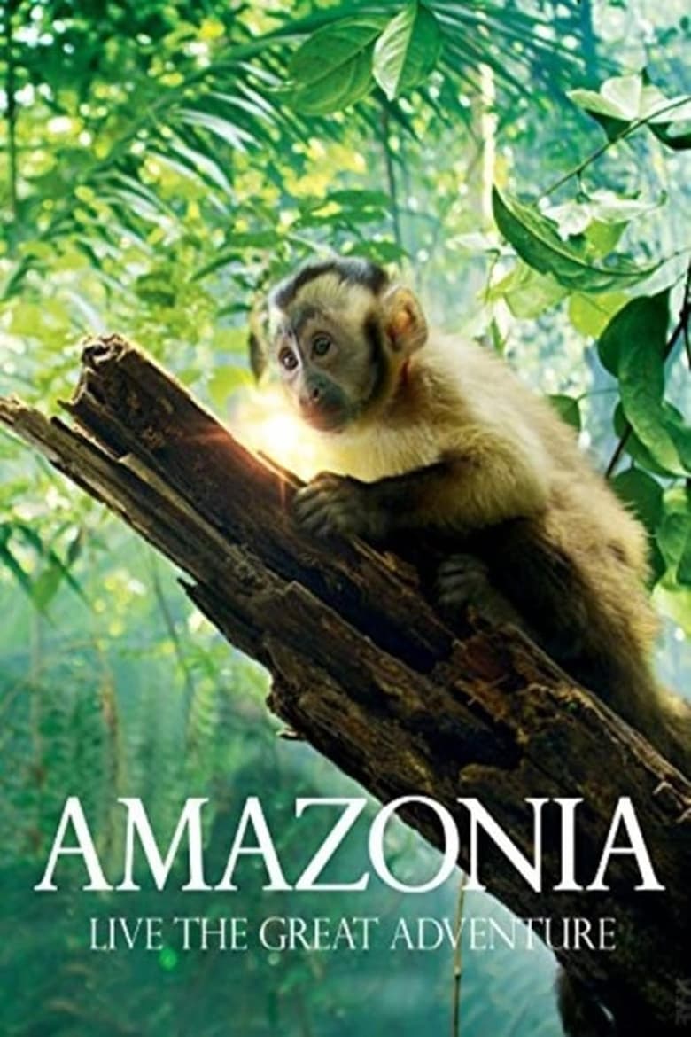 Poster of Amazonia