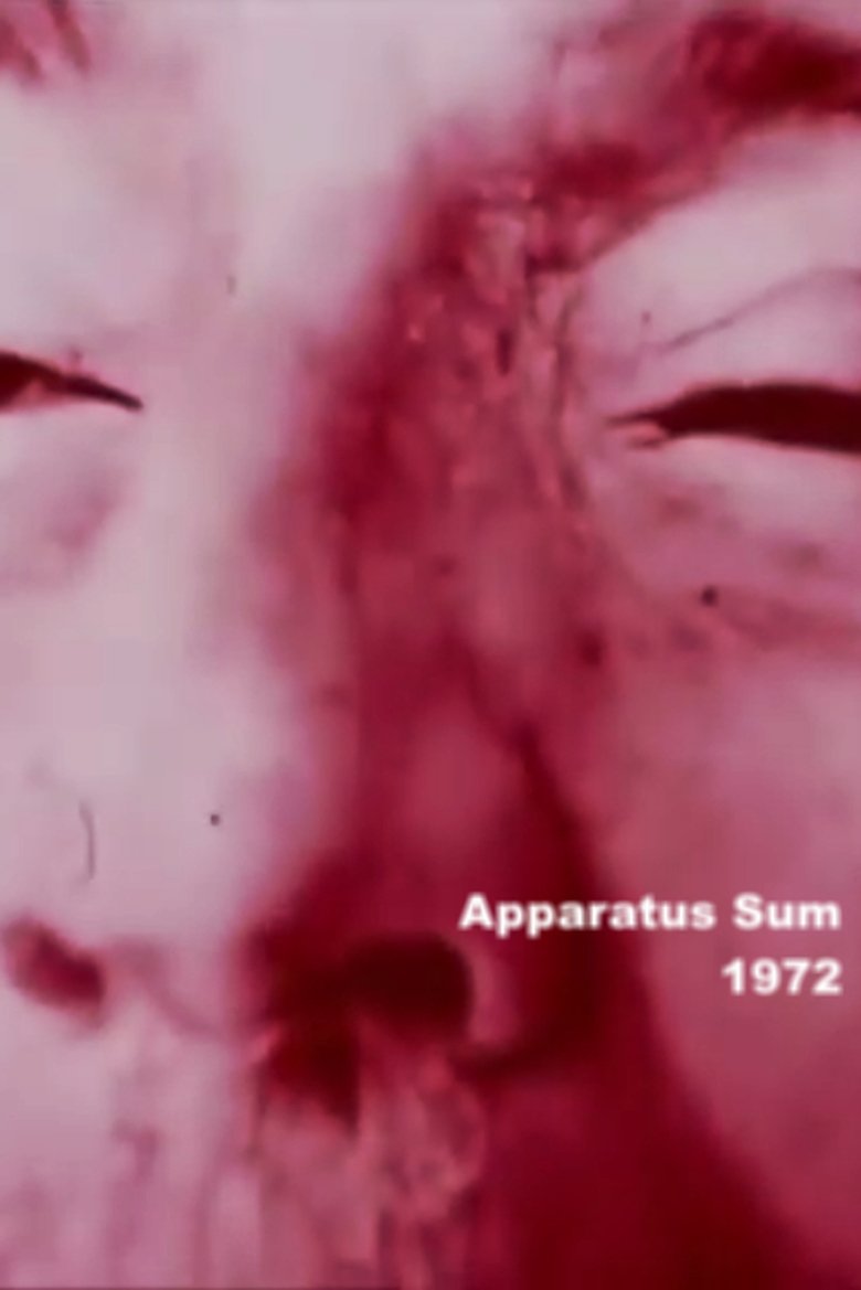 Poster of Apparatus Sum