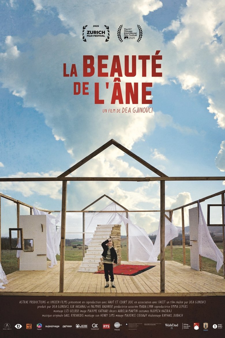 Poster of The Beauty of the Donkey