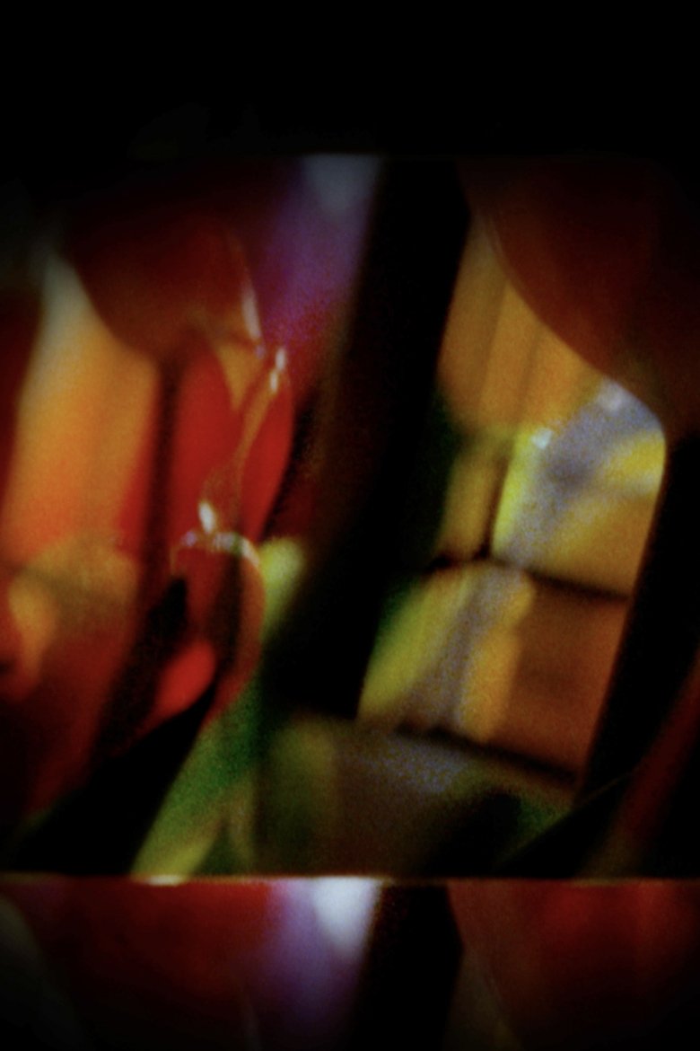 Poster of SEAM
