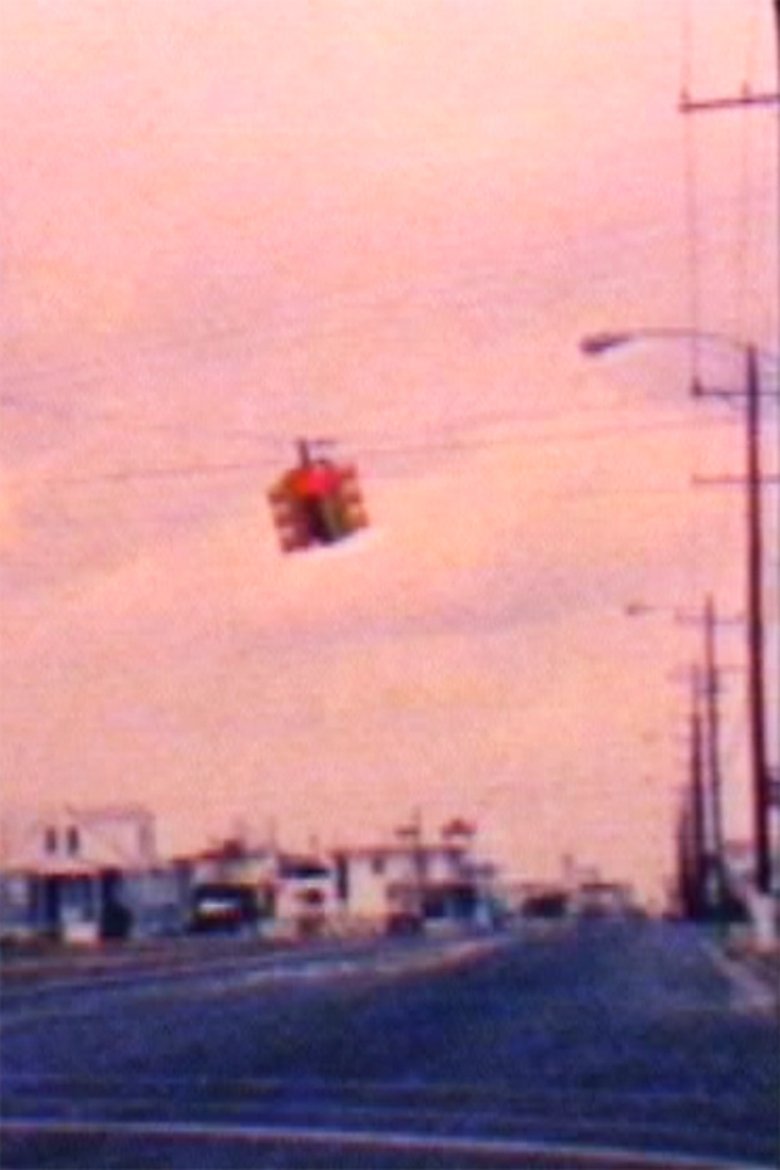 Poster of S-8 Diary: Wildwood 2/88