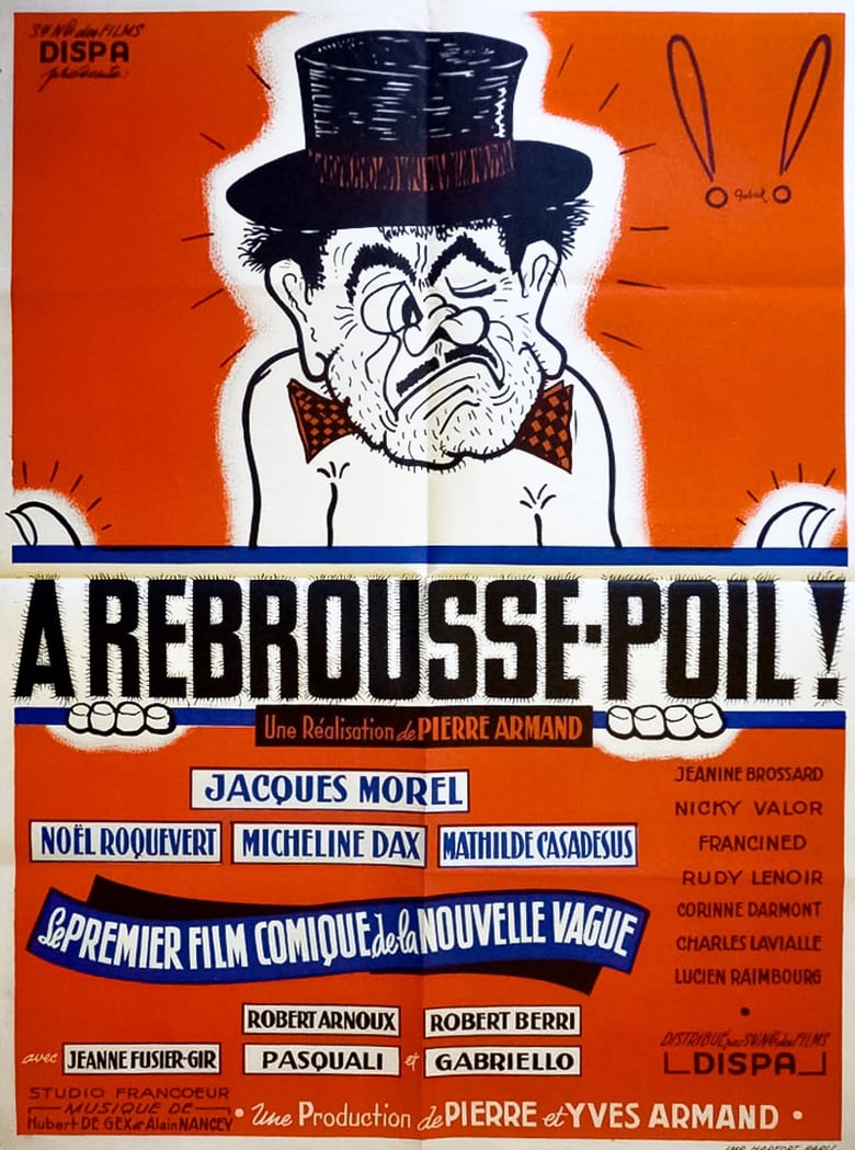 Poster of À rebrousse-poil