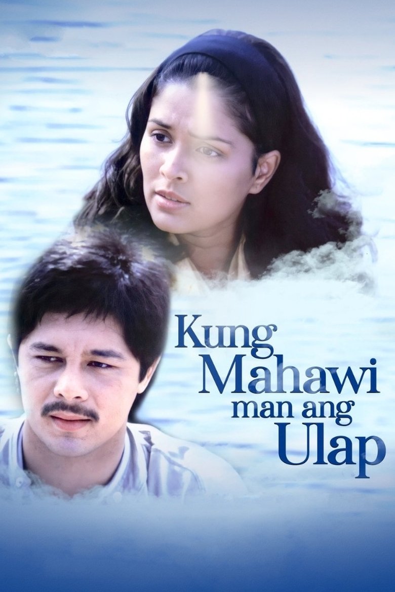 Poster of Should the Skies Clear