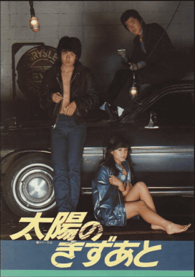 Poster of Scars of the Sun