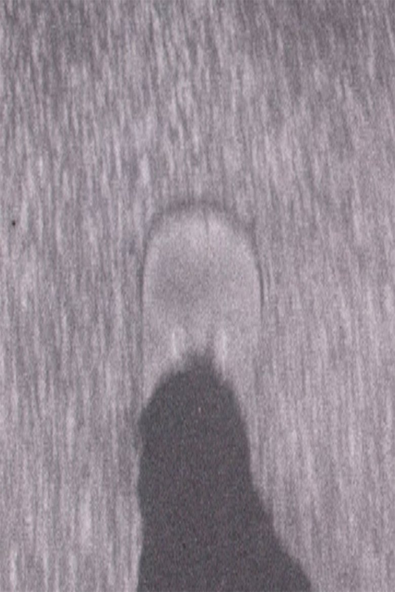 Poster of Little Feet
