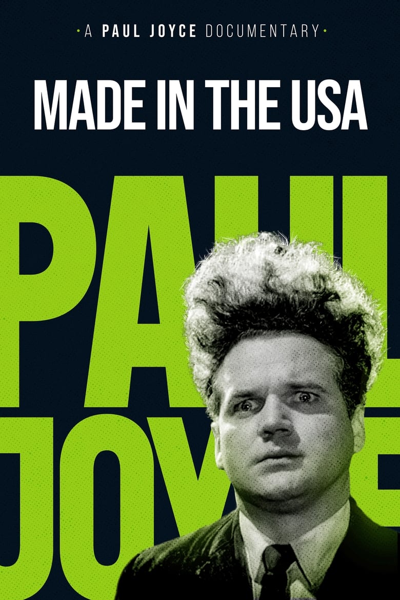 Poster of Made in the USA