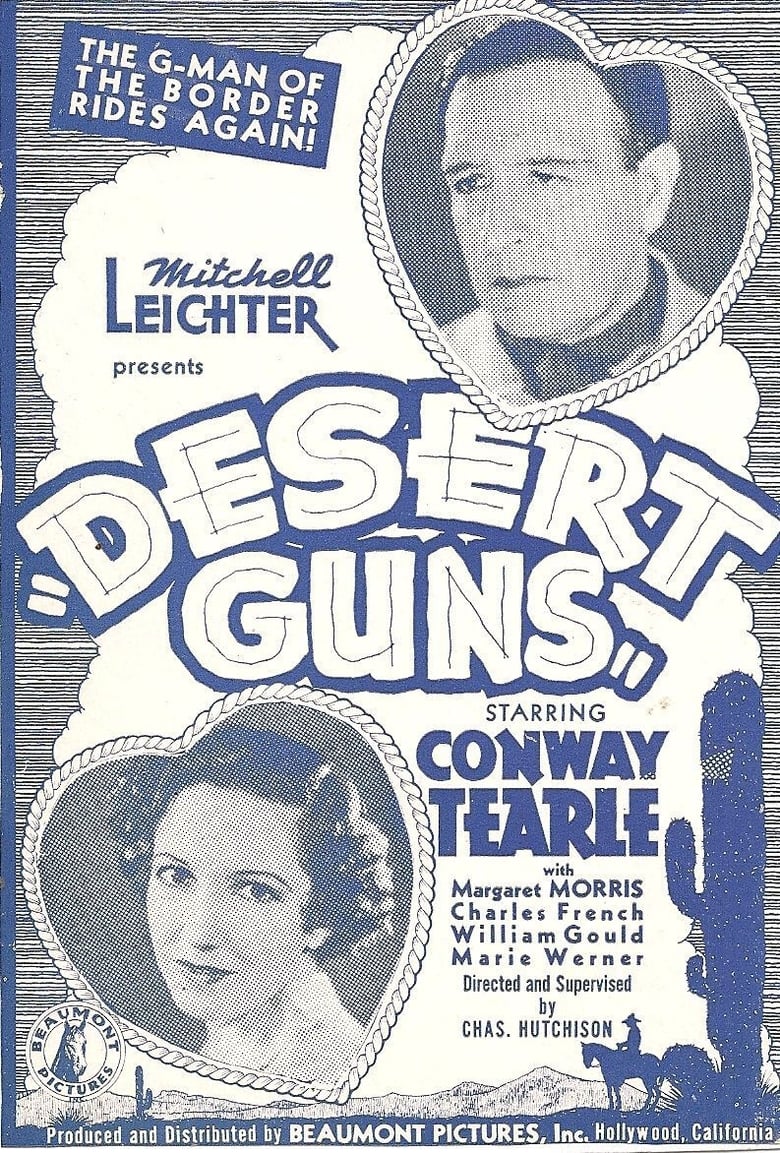 Poster of Desert Guns
