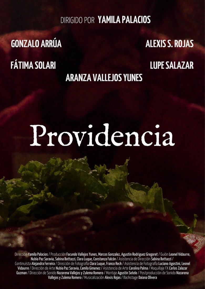 Poster of Providence