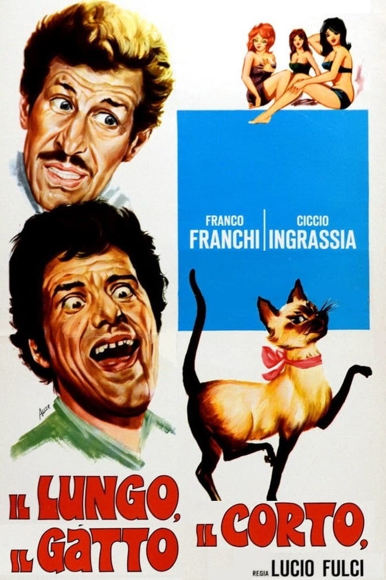 Poster of The Tall, The Short, The Cat