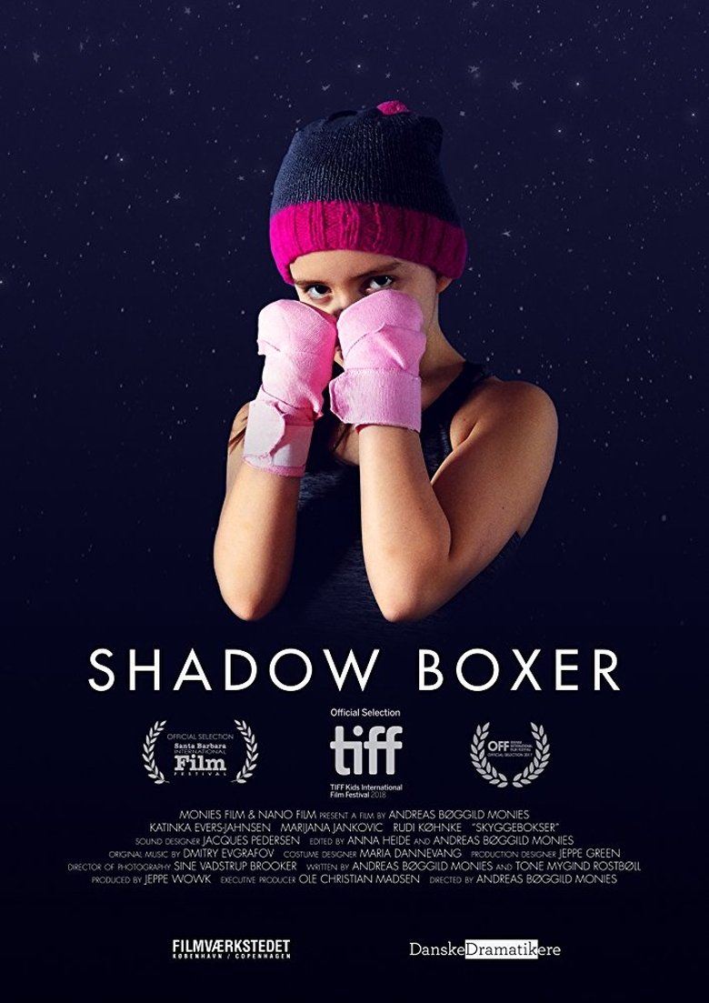 Poster of Shadow Boxer