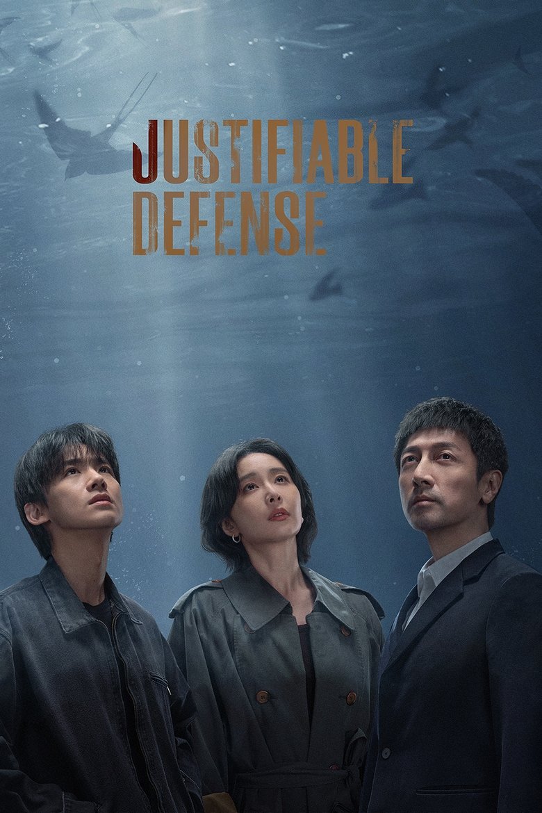 Poster of Justifiable Defense