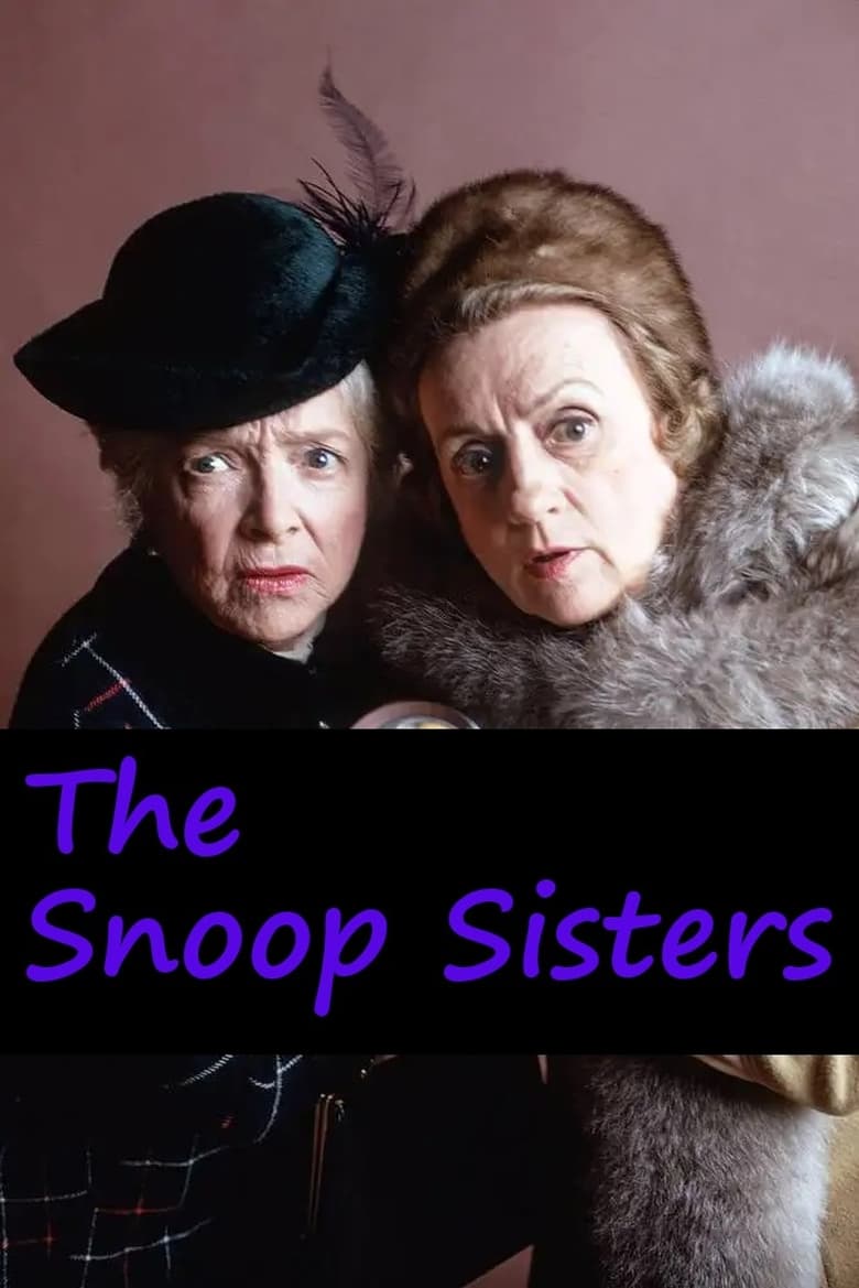 Poster of The Snoop Sisters
