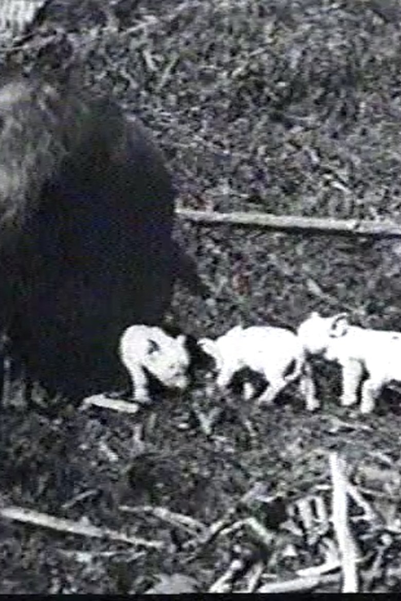 Poster of Mamma's Pets