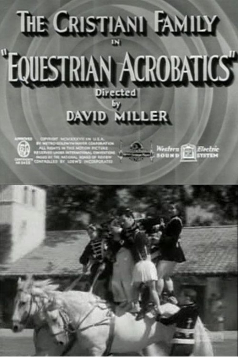 Poster of Equestrian Acrobats