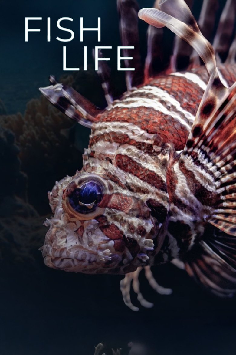 Poster of Fish Life