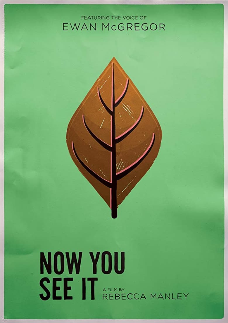 Poster of Now You See It