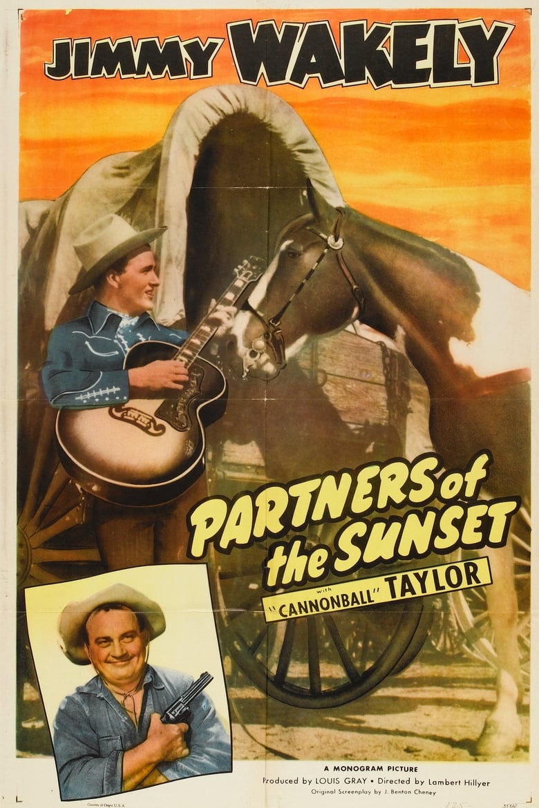Poster of Partners of the Sunset
