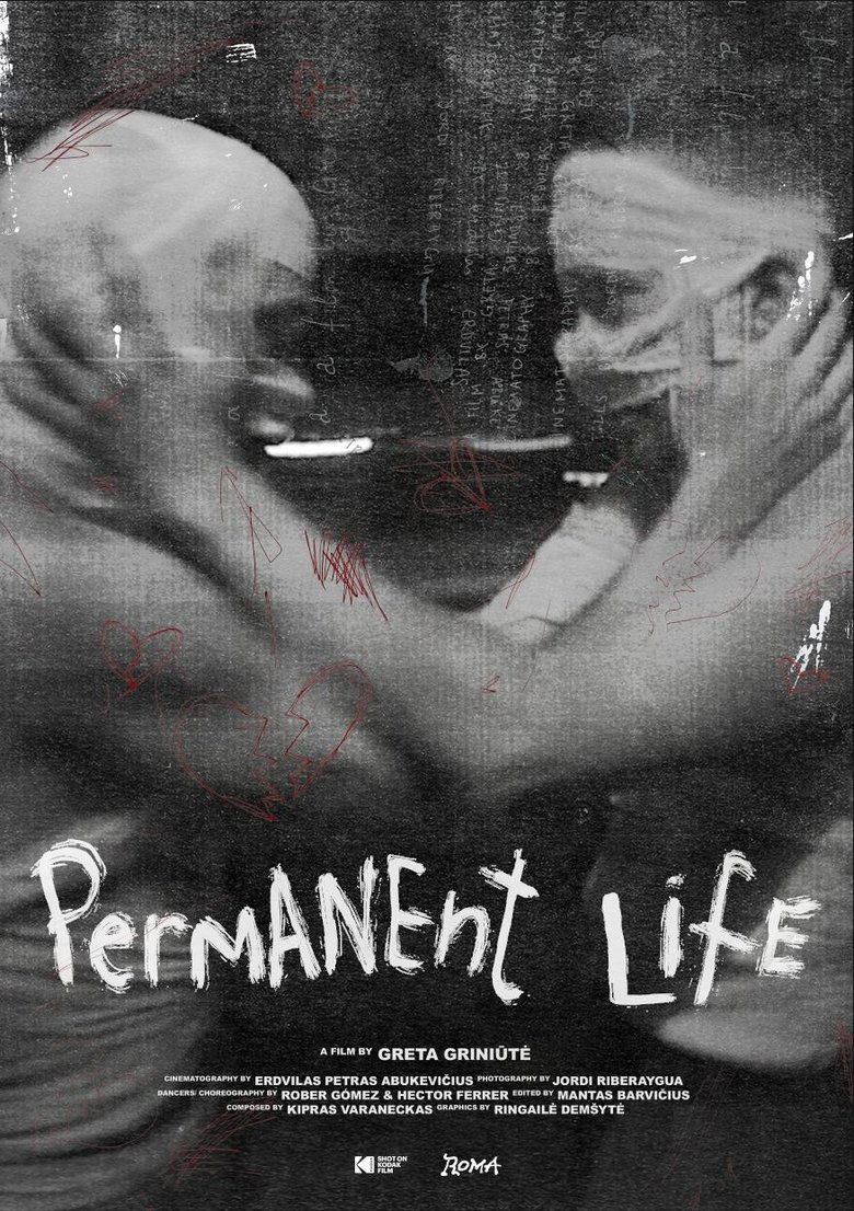 Poster of Permanent Life