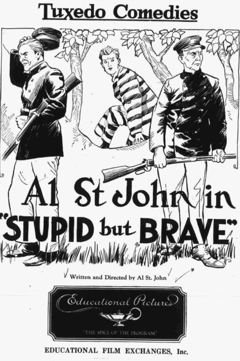 Poster of Stupid, but Brave