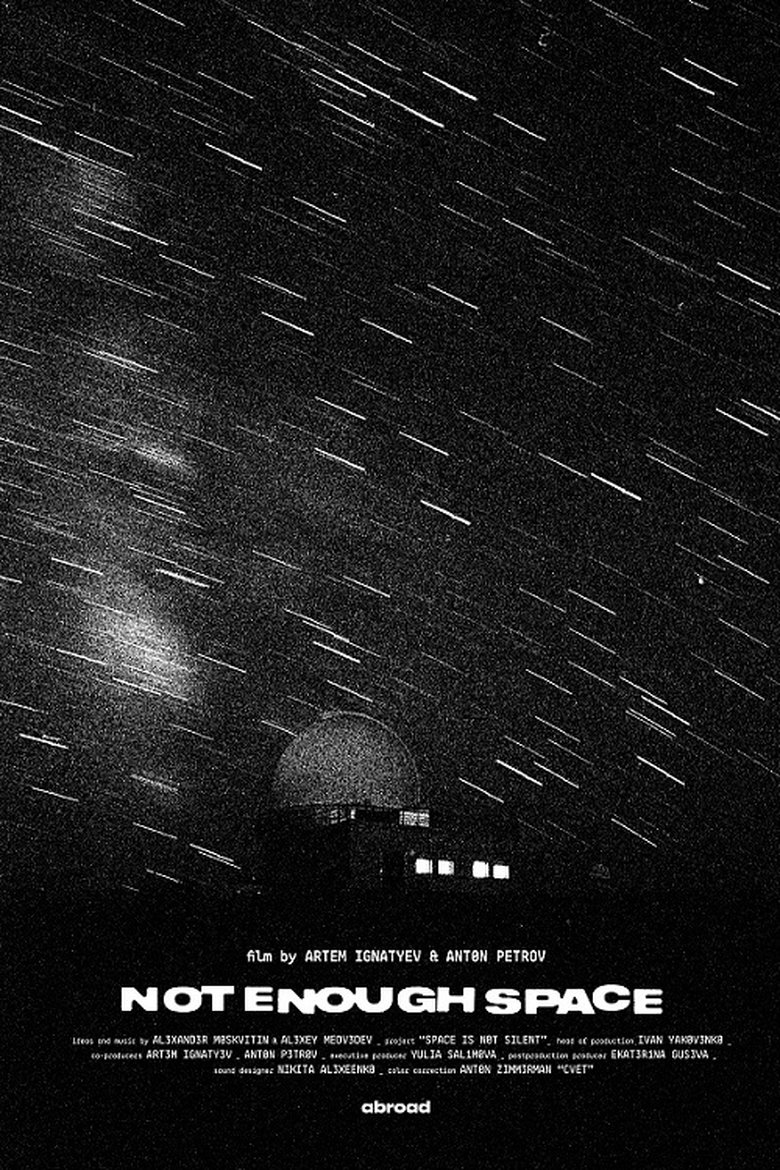 Poster of Not Enough Space