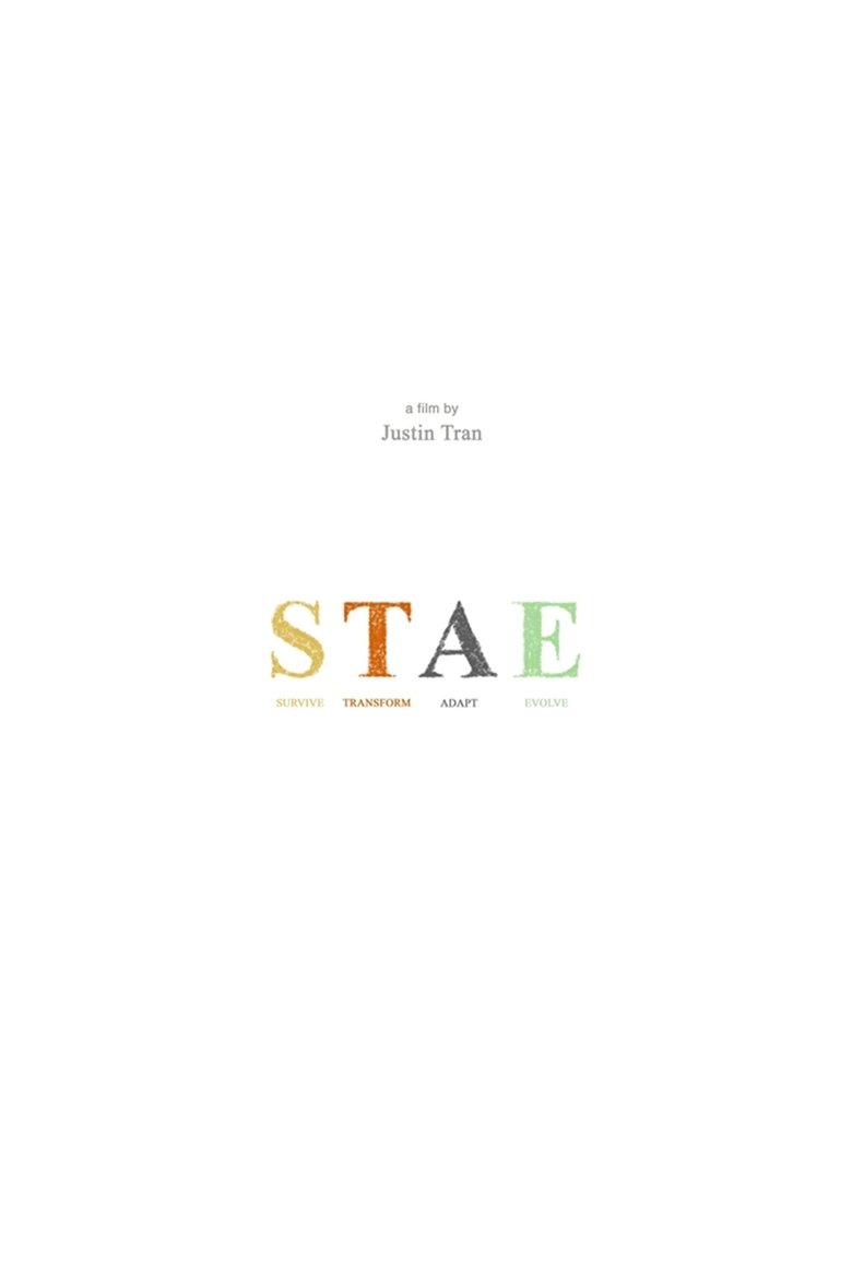 Poster of STAE